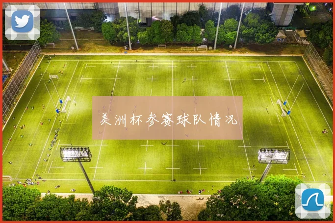 美洲杯参赛球队情况