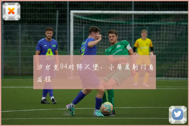 沙尔克04对阵汉堡，小角度射门看后程