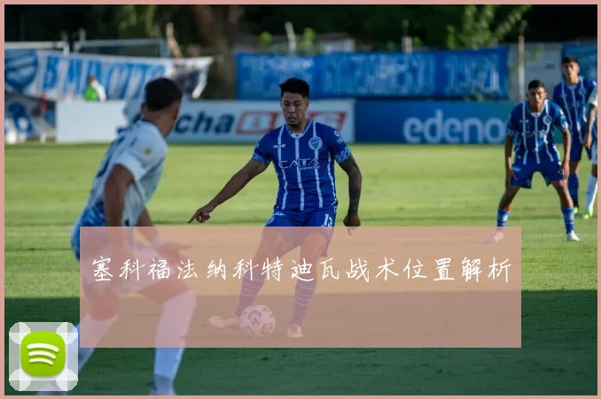 塞科福法纳科特迪瓦战术位置解析